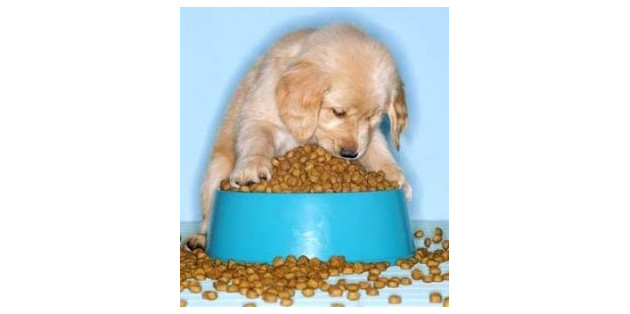 Comida para perros
