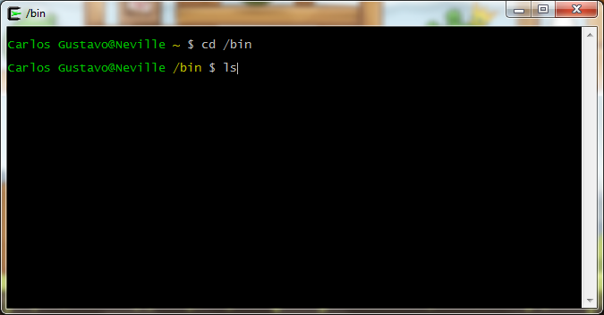 Cygwin Terminal